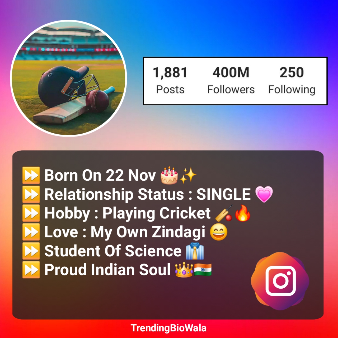 Stylish Bio For Cricket Lover