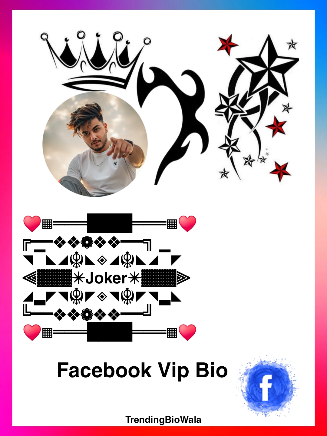 Facebook VIP Bio